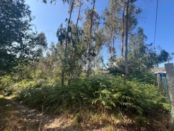 Terreno para Venda em O. Azeméis, Riba-Ul, Ul, Macinhata Seixa, Madail