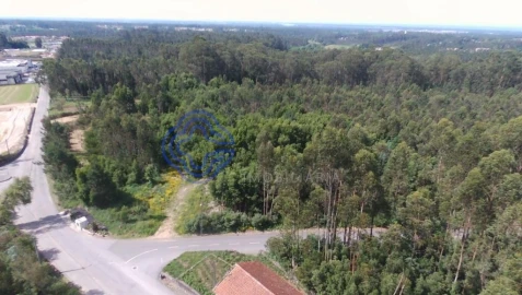 Terreno para Venda em Ovar, São João, Arada e São Vicente de Pereira Jusã