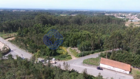 Terreno para Venda em Ovar, São João, Arada e São Vicente de Pereira Jusã