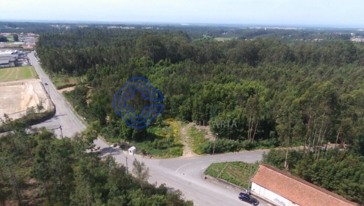 Terreno para Venda em Ovar, São João, Arada e São Vicente de Pereira Jusã Foto 9