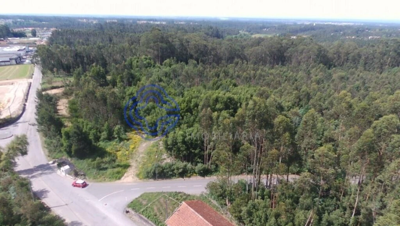 Terreno para Venda em Ovar, São João, Arada e São Vicente de Pereira Jusã Foto 10