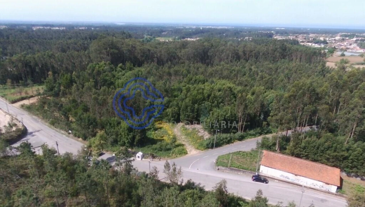 Terreno para Venda em Ovar, São João, Arada e São Vicente de Pereira Jusã Foto 8
