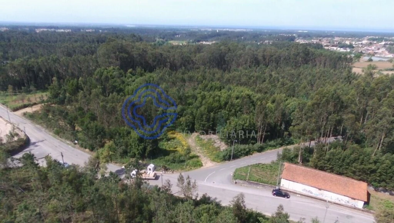 Terreno para Venda em Ovar, São João, Arada e São Vicente de Pereira Jusã Foto 7