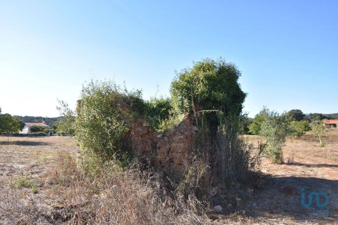 Terreno para Venda em Nossa Senhora do Pranto Foto 15