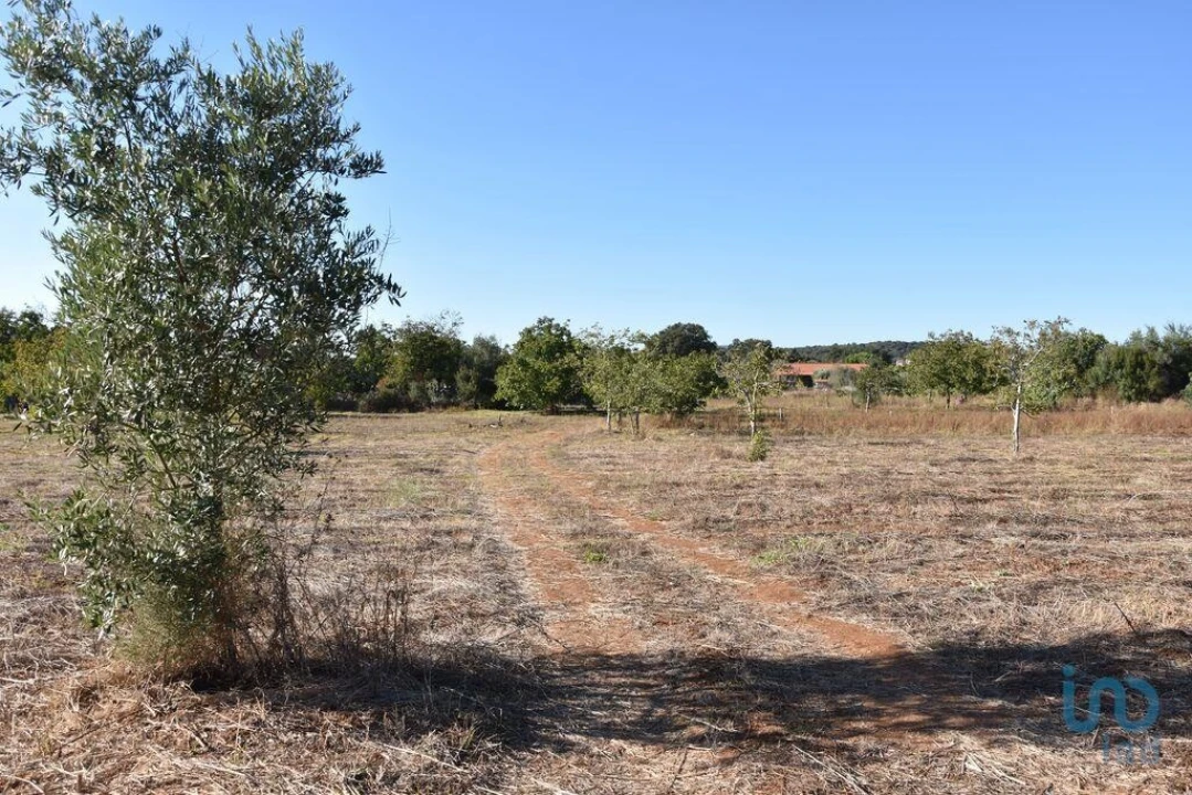 Terreno para Venda em Nossa Senhora do Pranto Foto 5