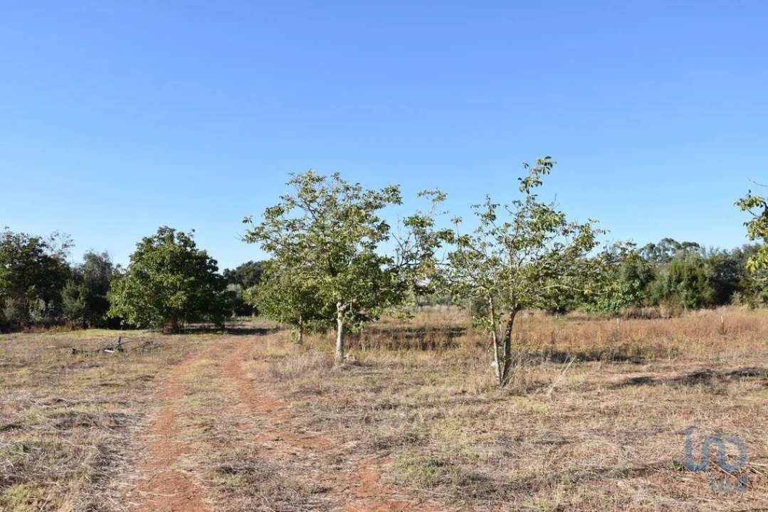 Terreno para Venda em Nossa Senhora do Pranto Foto 11