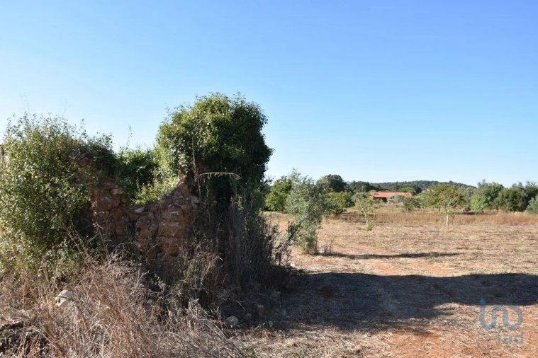 Terreno para Venda em Nossa Senhora do Pranto Foto 4