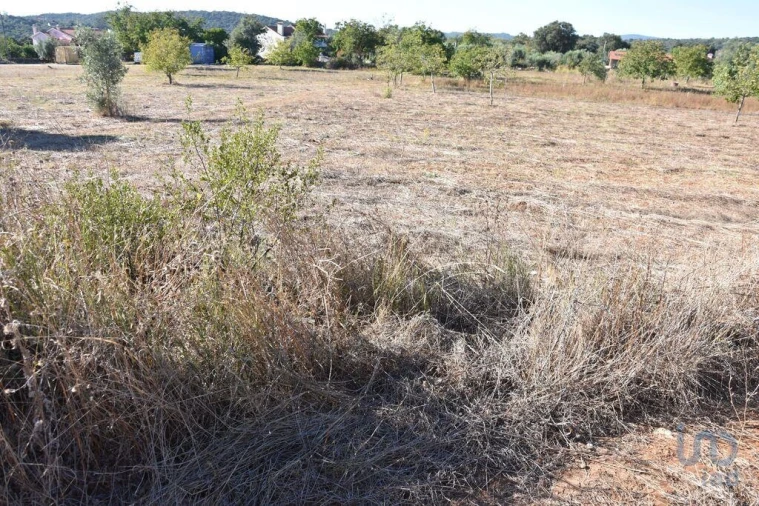 Terreno para Venda em Nossa Senhora do Pranto Foto 10