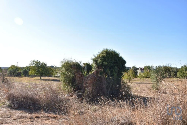 Terreno para Venda em Nossa Senhora do Pranto Foto 3