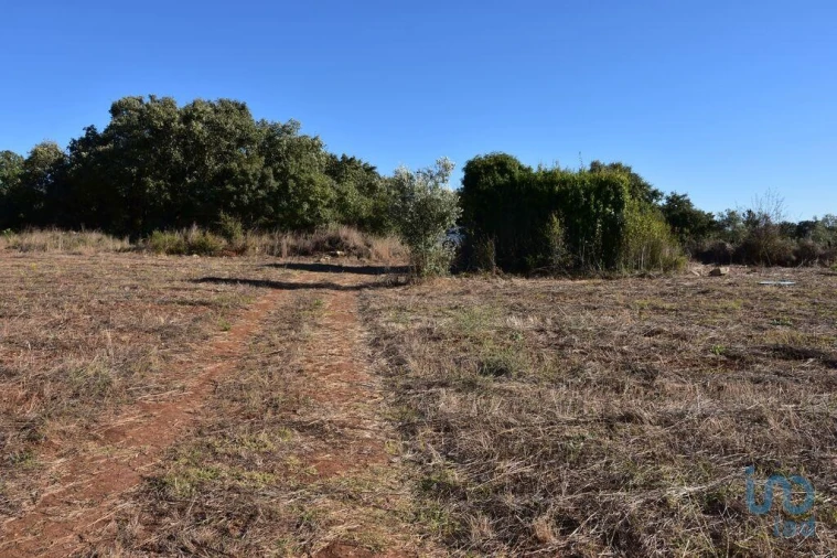Terreno para Venda em Nossa Senhora do Pranto Foto 1