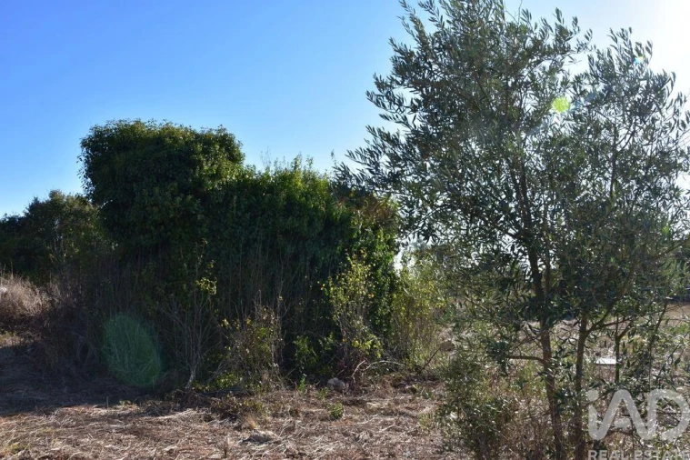 Terreno para Venda em Nossa Senhora do Pranto Foto 16