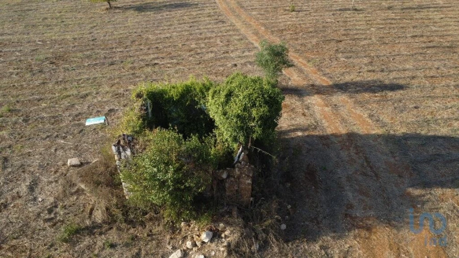 Terreno para Venda em Nossa Senhora do Pranto Foto 2