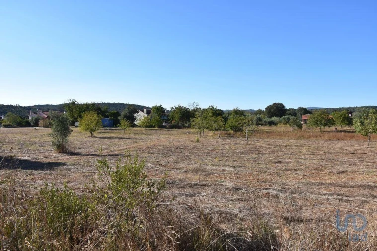 Terreno para Venda em Nossa Senhora do Pranto Foto 8