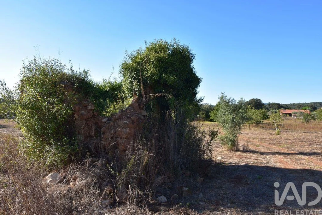 Terreno para Venda em Nossa Senhora do Pranto Foto 17