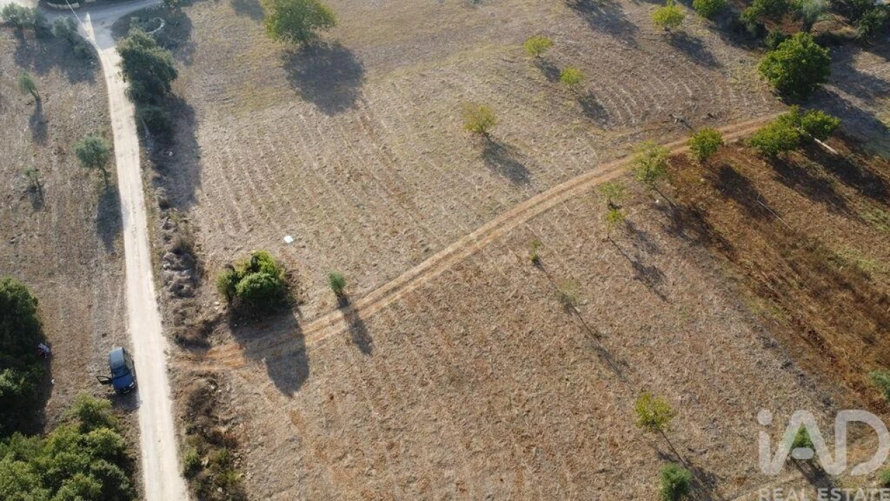 Terreno para Venda em Nossa Senhora do Pranto Foto 18