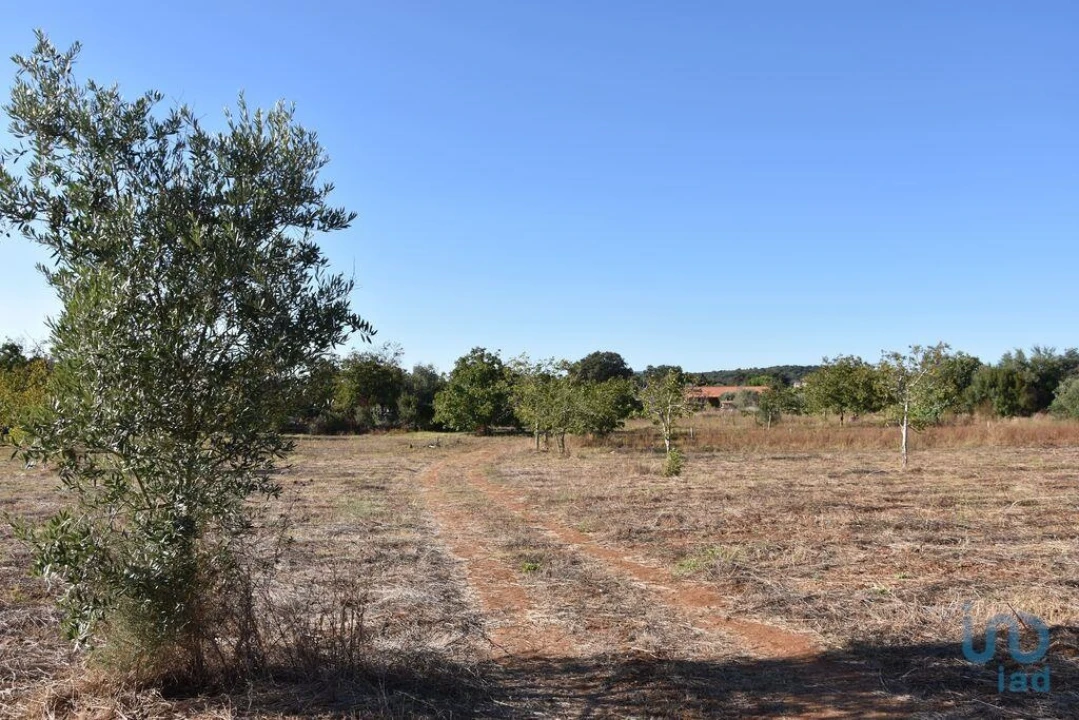 Terreno para Venda em Nossa Senhora do Pranto Foto 6