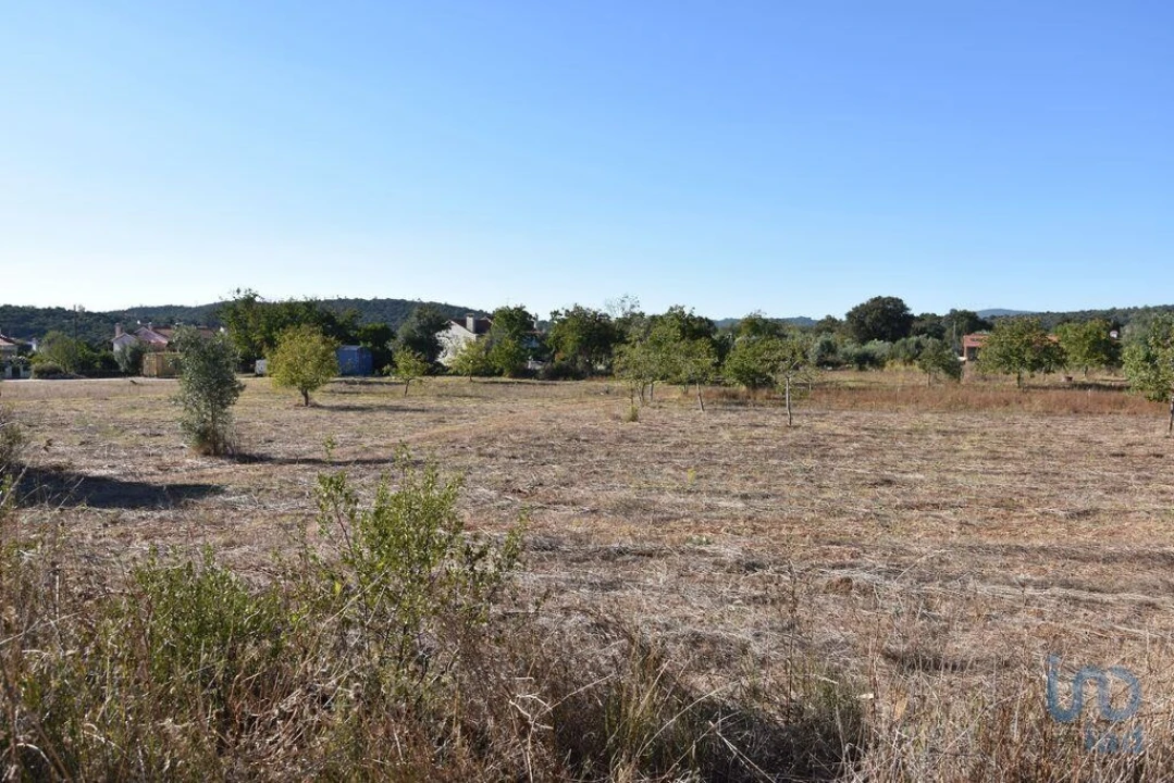 Terreno para Venda em Nossa Senhora do Pranto Foto 12