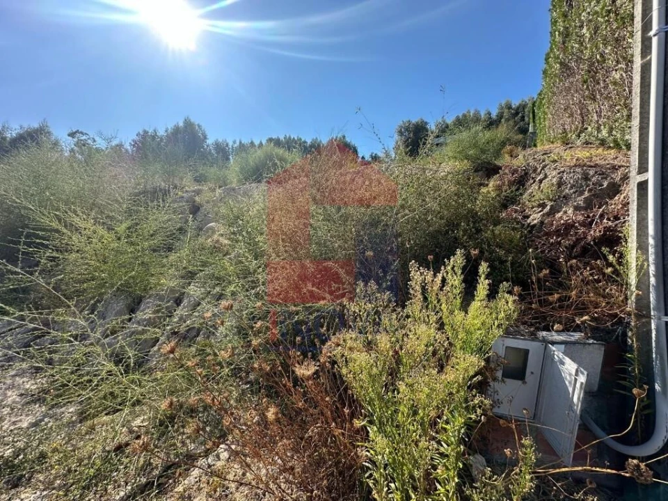 Terreno para Venda em Ribeira do Neiva Foto 4