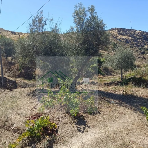 Moradia T3 para Venda em Bendada Foto 7