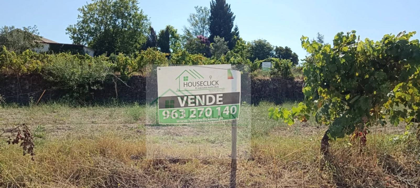 Quinta T4 para Venda em Caria Foto 2