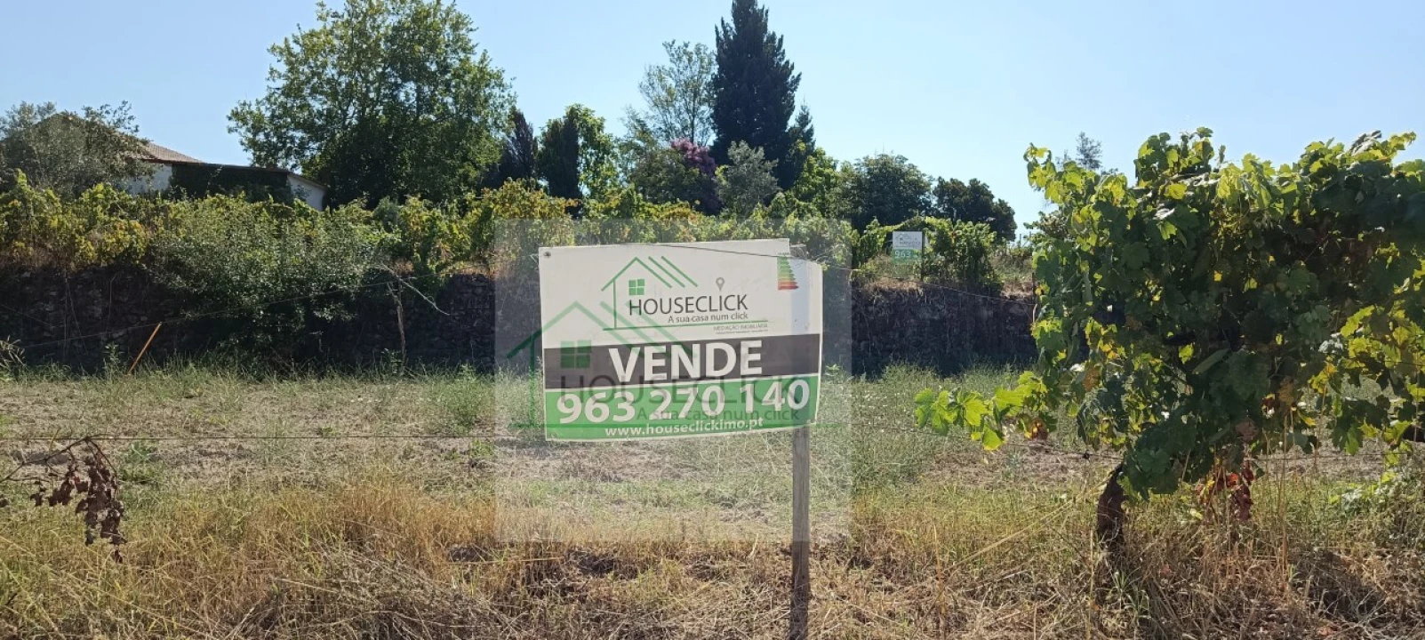 Quinta T4 para Venda em Caria Foto 3