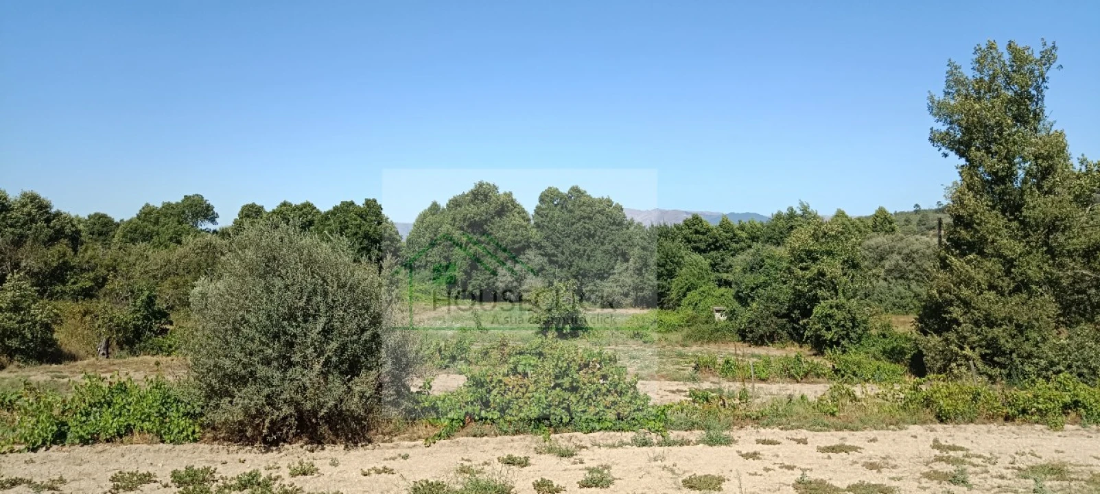 Quinta T4 para Venda em Caria Foto 5