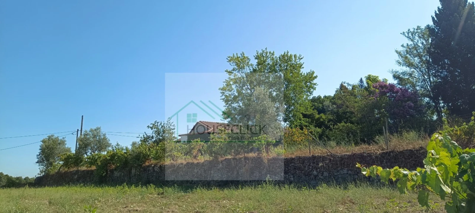 Quinta T4 para Venda em Caria Foto 12