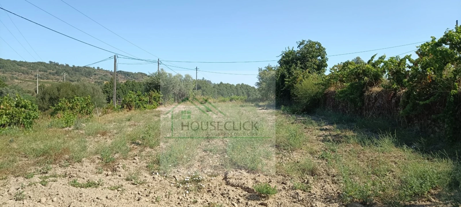 Quinta T4 para Venda em Caria Foto 13