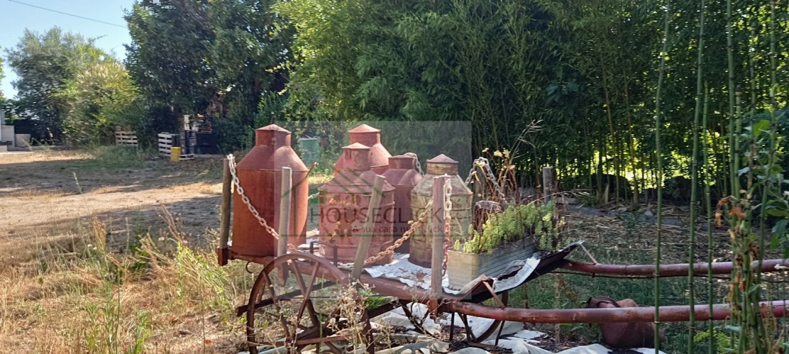 Quinta T4 para Venda em Caria Foto 14