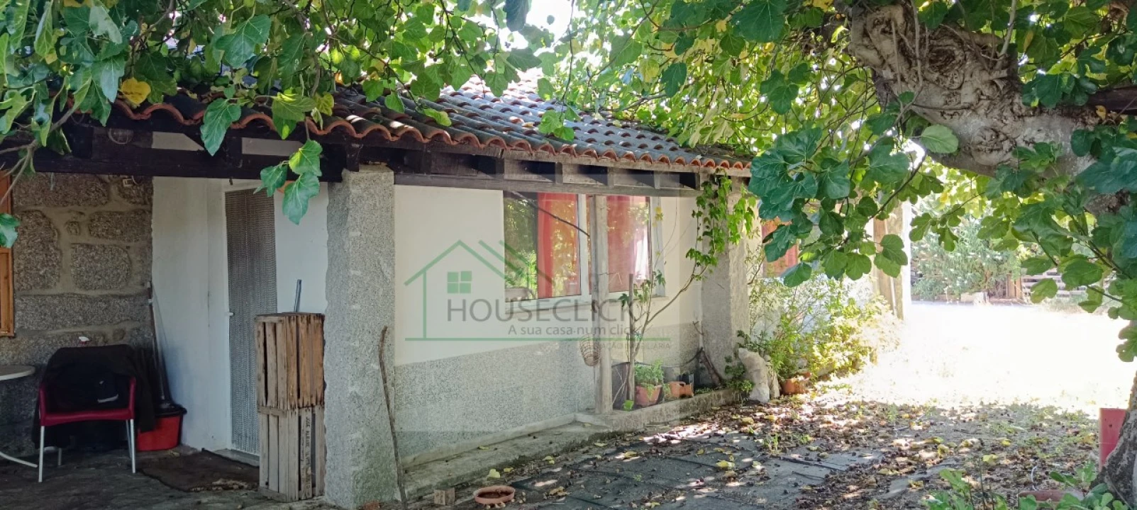 Quinta T4 para Venda em Caria Foto 15