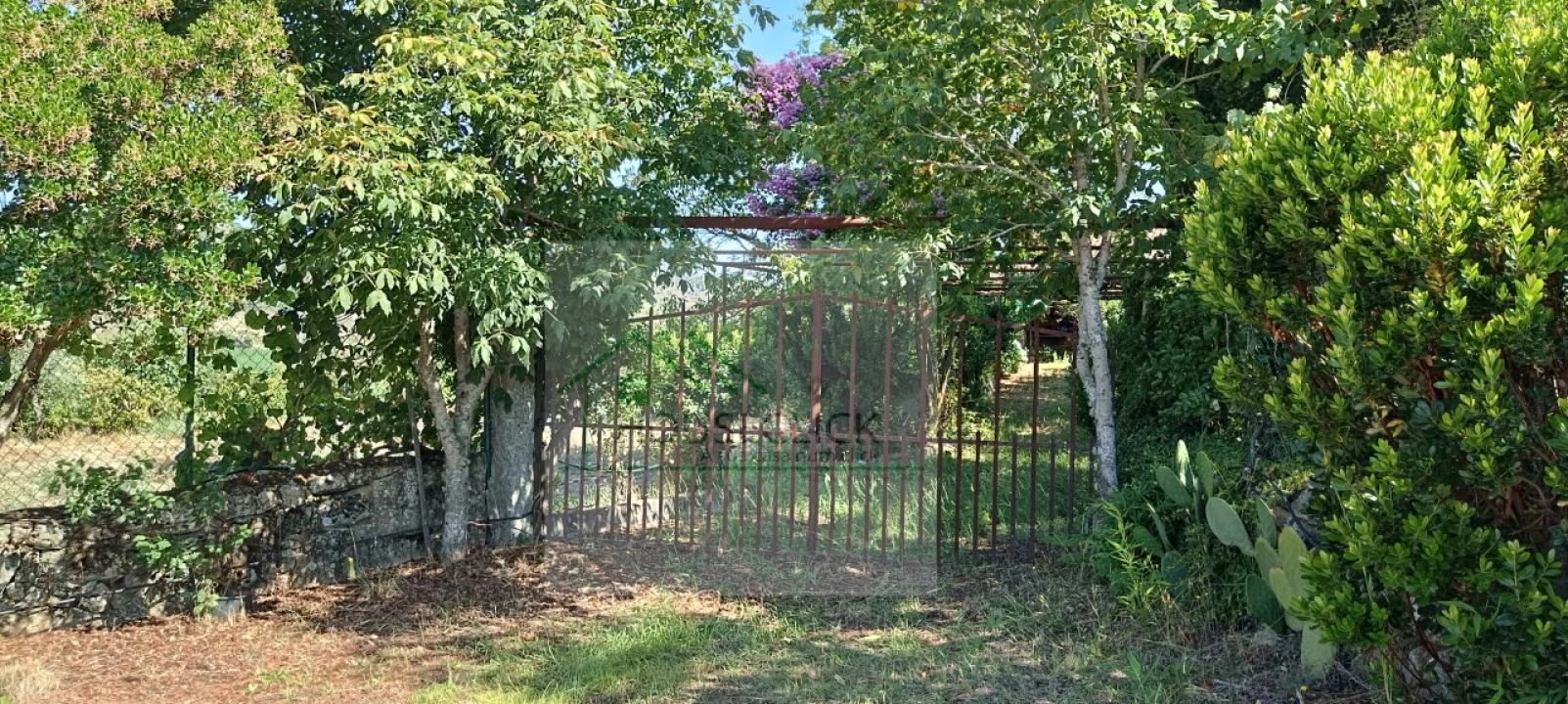 Quinta T4 para Venda em Caria Foto 16