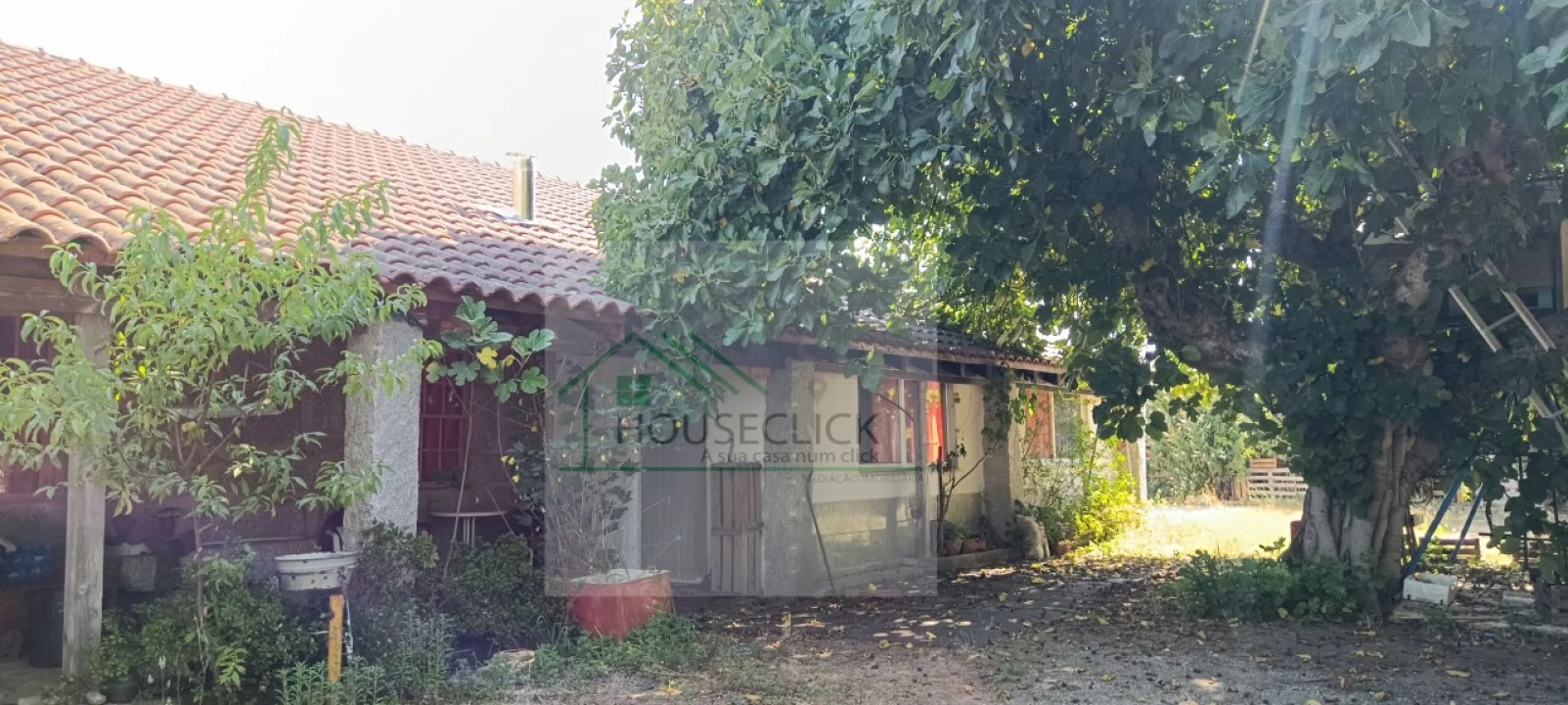 Quinta T4 para Venda em Caria Foto 19