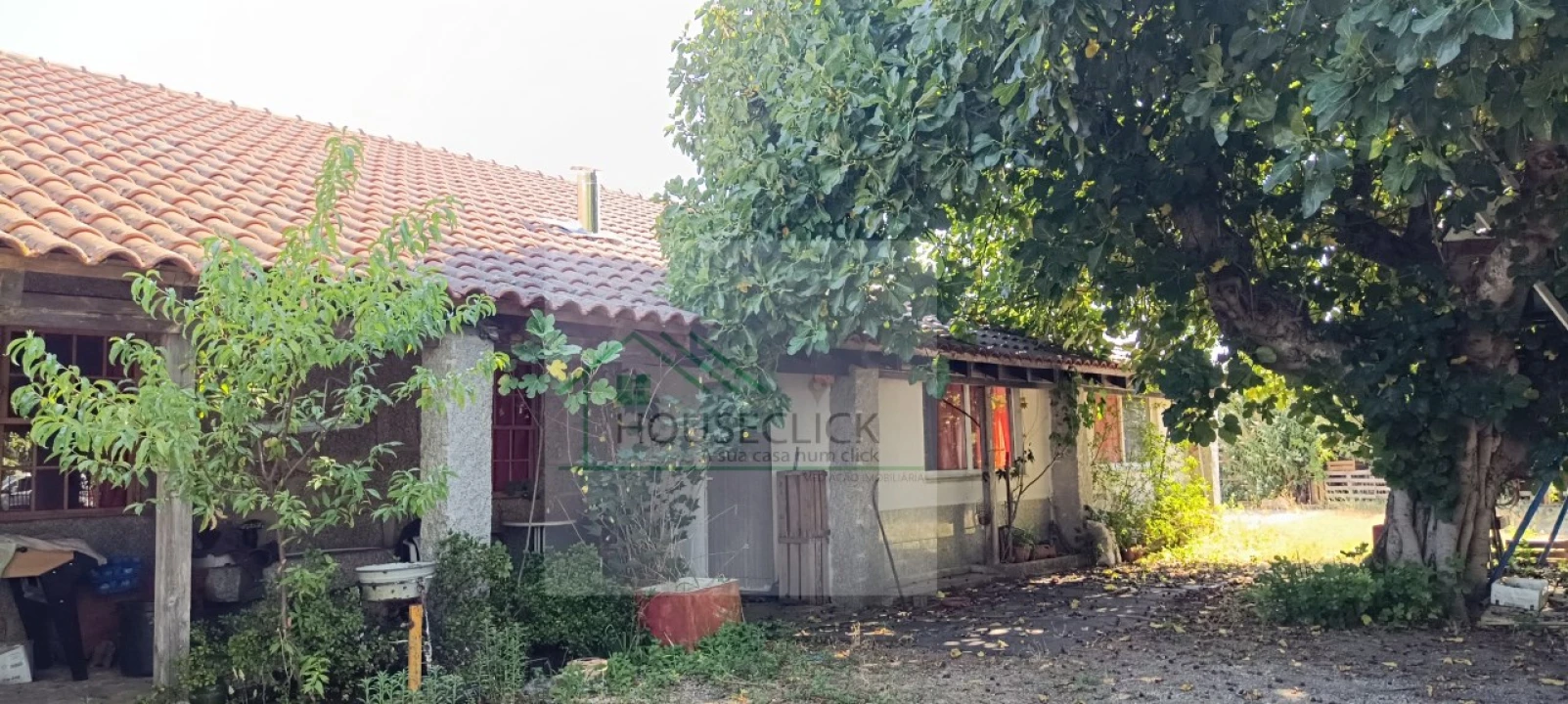 Quinta T4 para Venda em Caria Foto 20