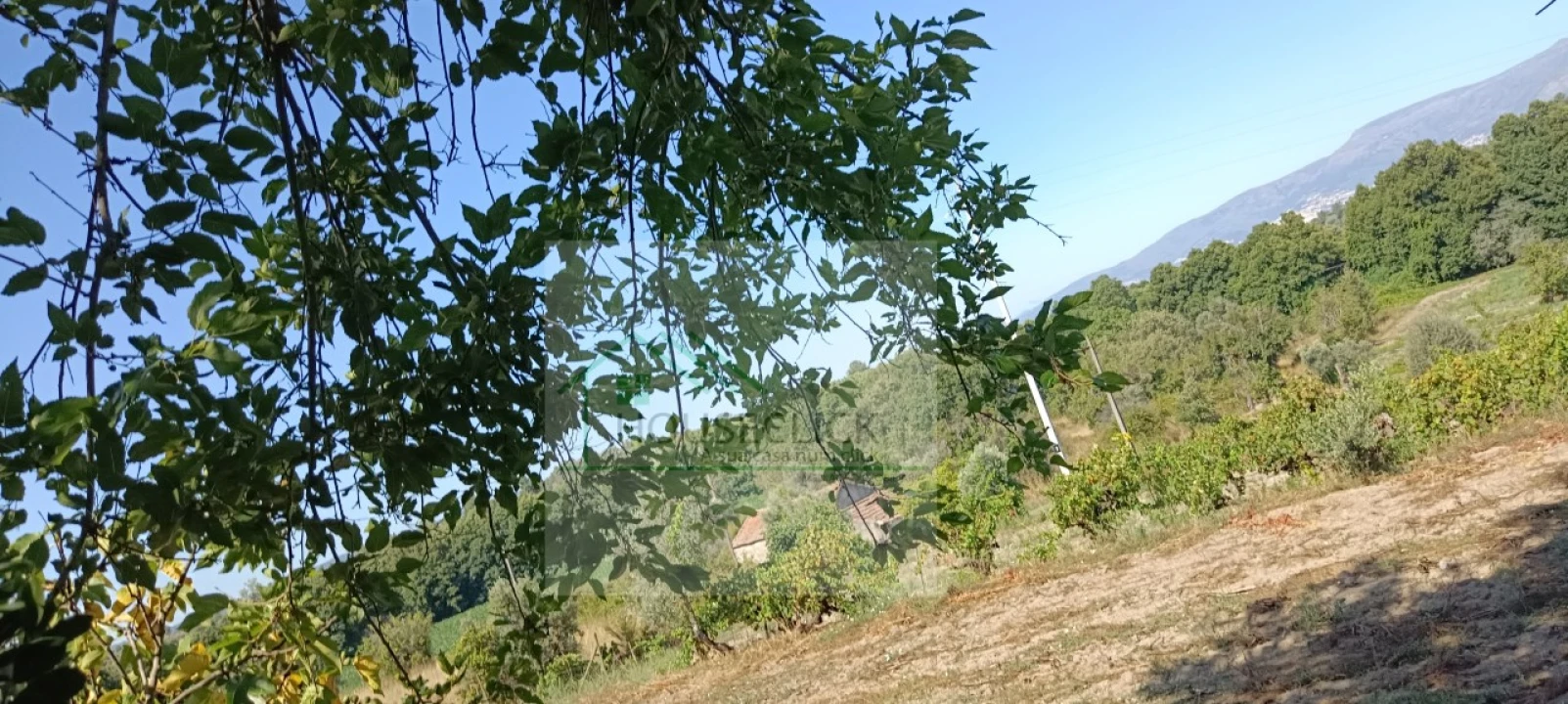 Quinta T4 para Venda em Caria Foto 22