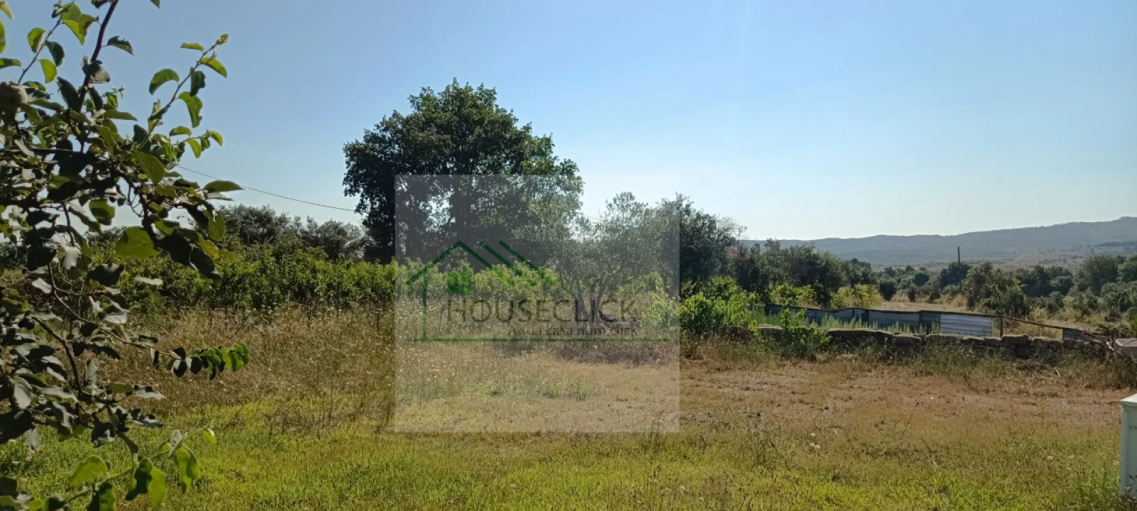 Quinta T4 para Venda em Caria Foto 27