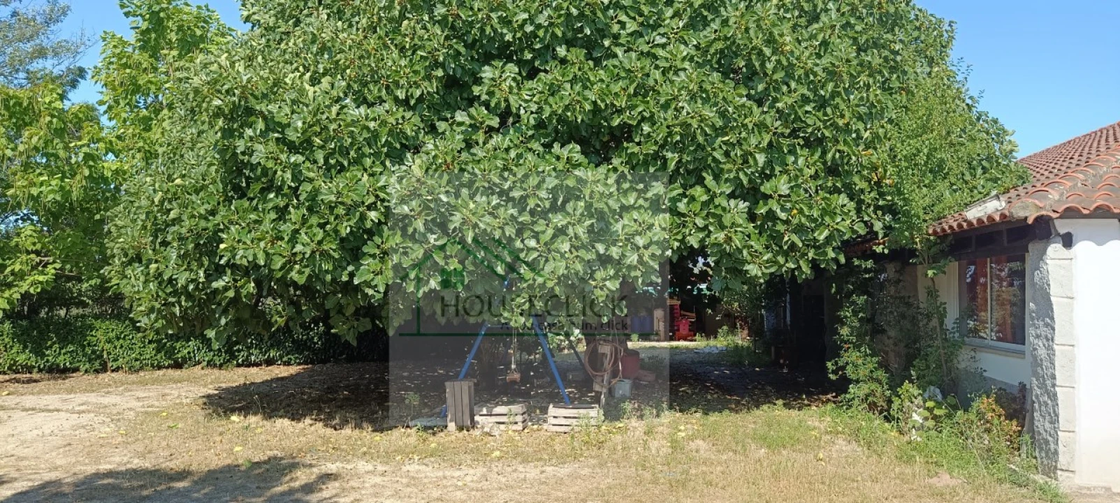 Quinta T4 para Venda em Caria Foto 30