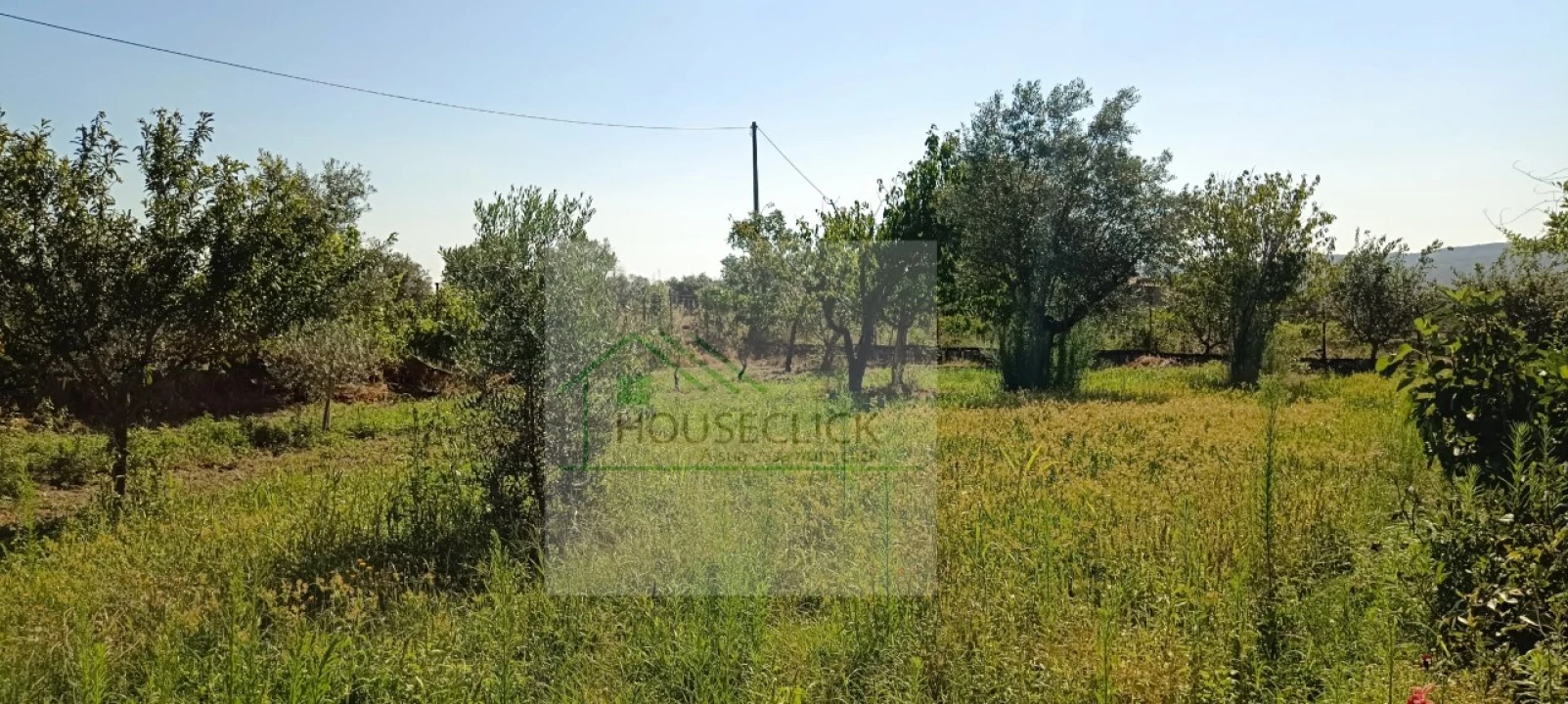 Quinta T4 para Venda em Caria Foto 31