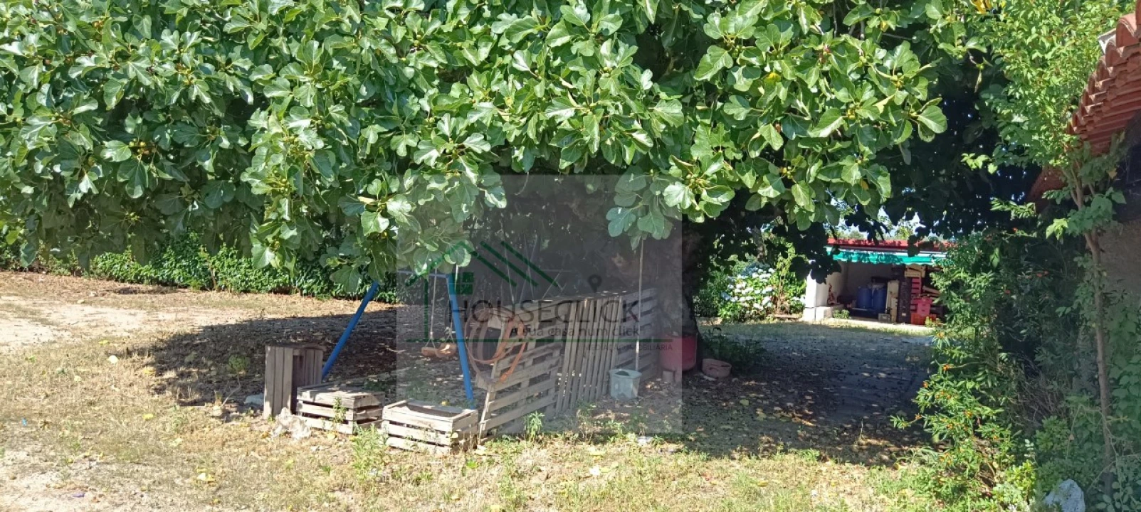 Quinta T4 para Venda em Caria Foto 32