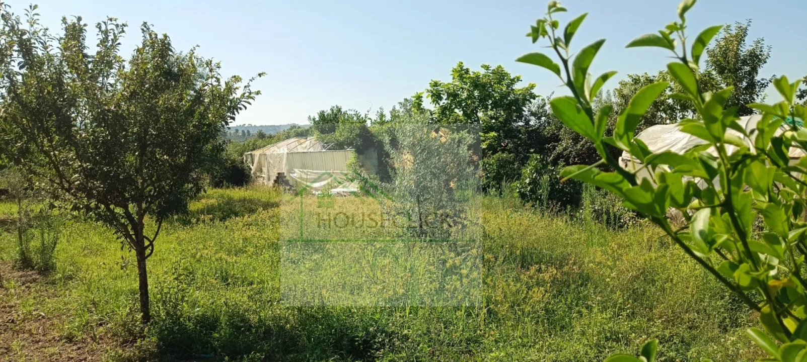 Quinta T4 para Venda em Caria Foto 50