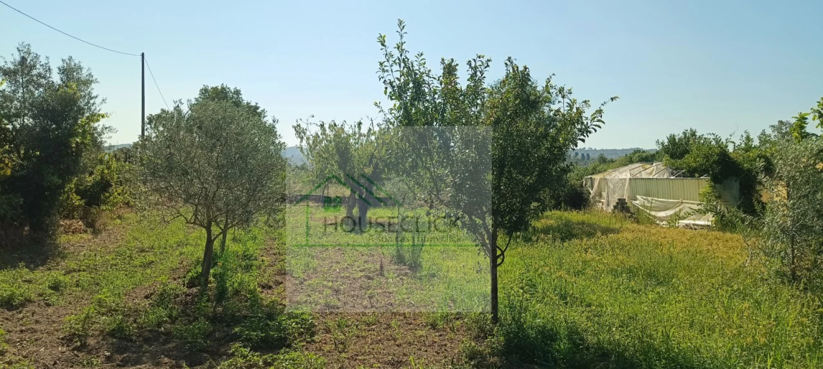 Quinta T4 para Venda em Caria Foto 51