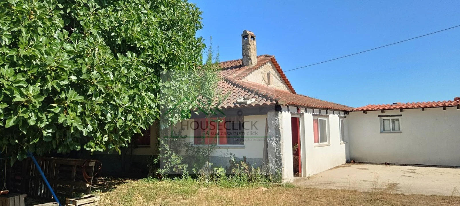 Quinta T4 para Venda em Caria Foto 65