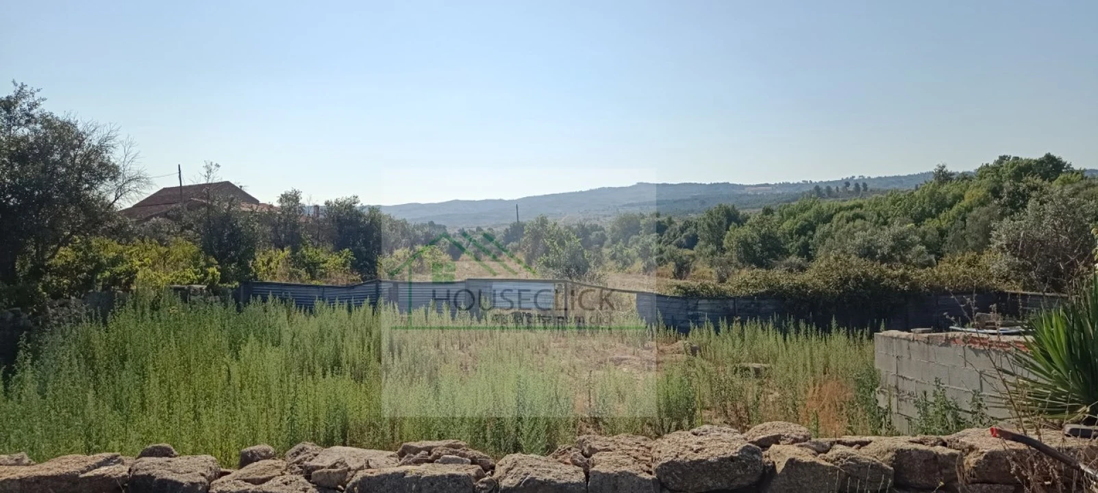 Quinta T4 para Venda em Caria Foto 72