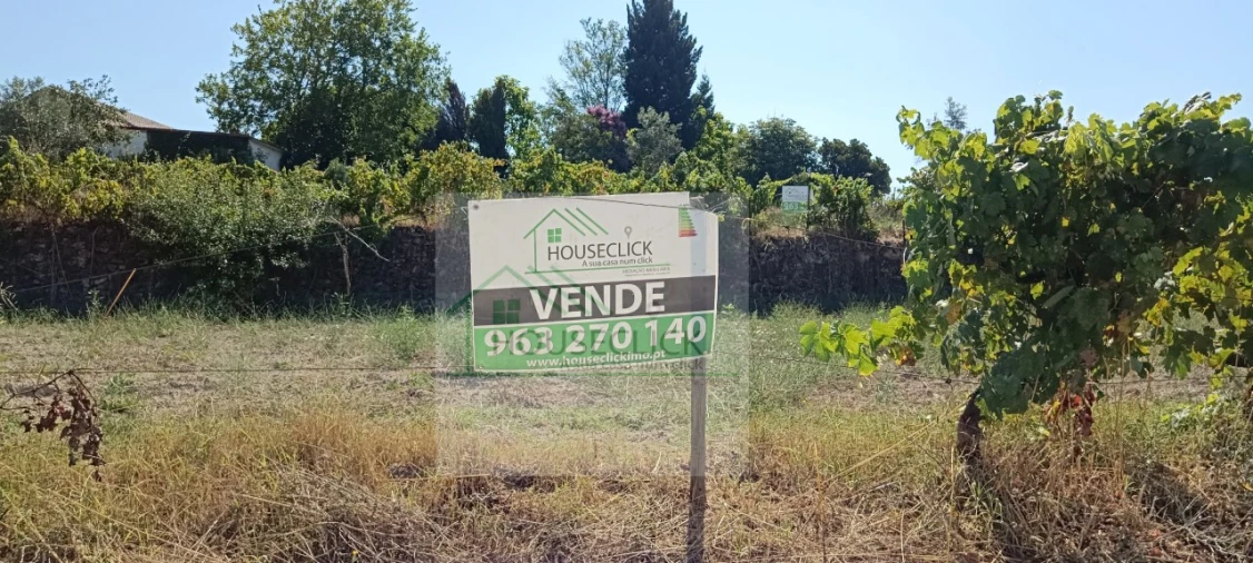 Quinta T4 para Venda em Caria Foto 2