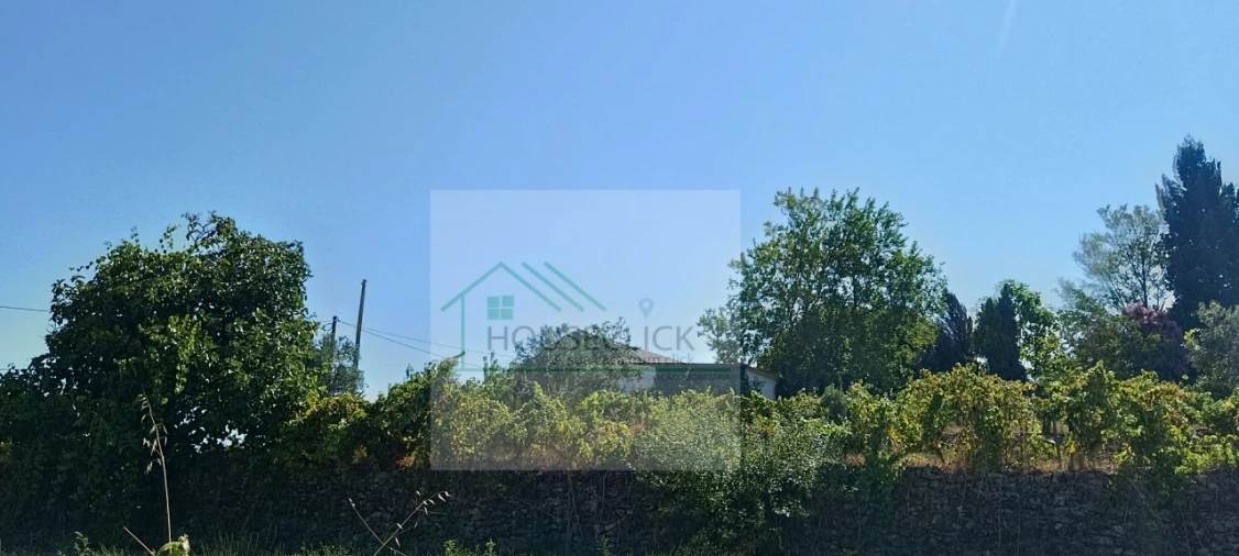 Quinta T4 para Venda em Caria Foto 7