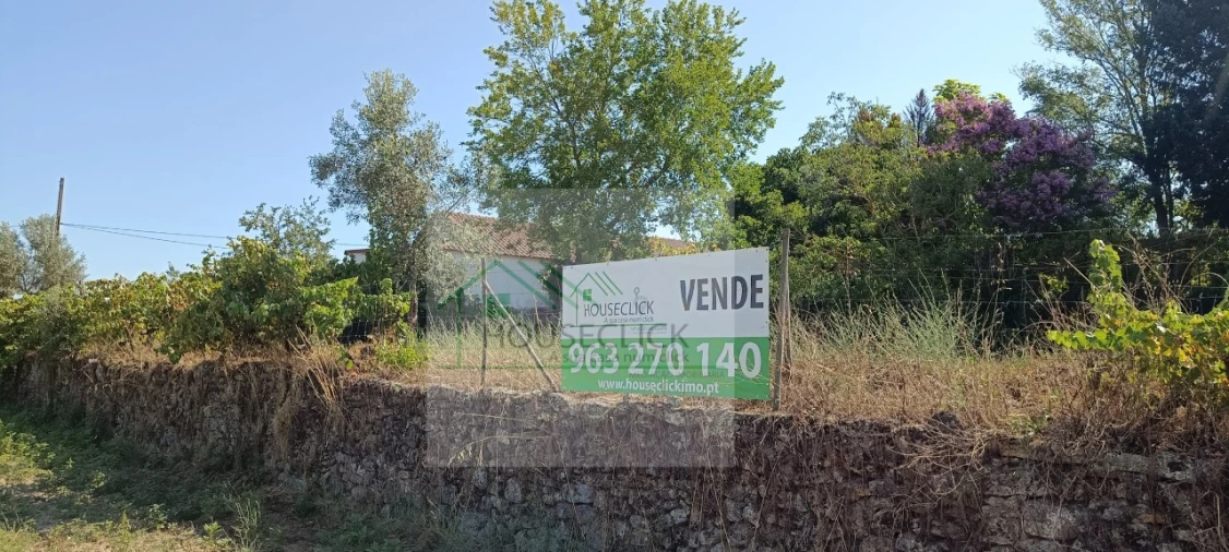 Quinta T4 para Venda em Caria Foto 11