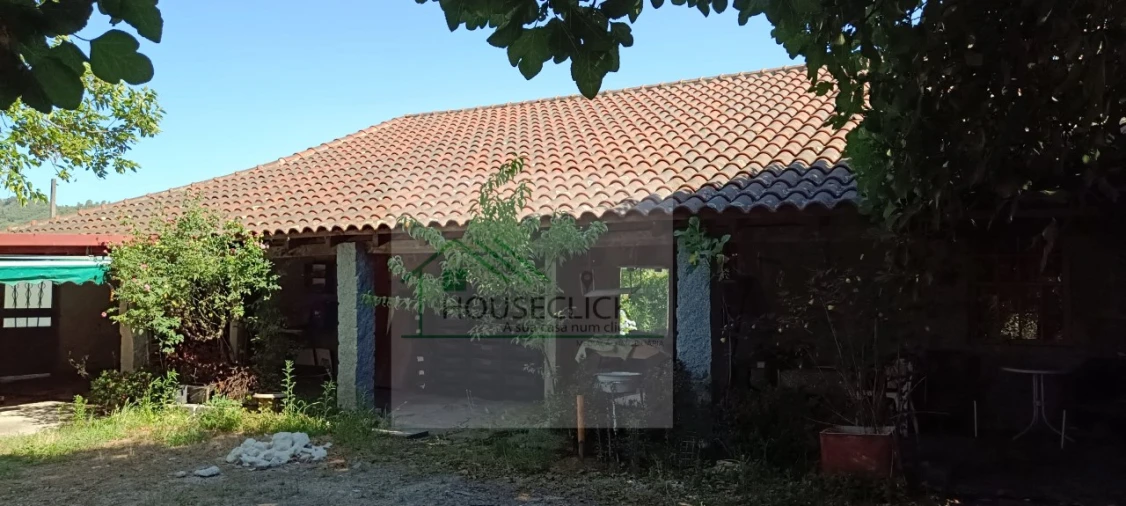 Quinta T4 para Venda em Caria