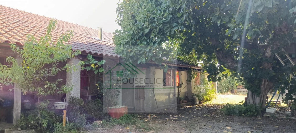 Quinta T4 para Venda em Caria Foto 17