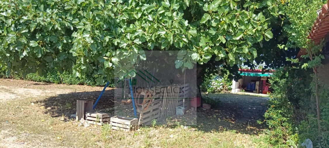 Quinta T4 para Venda em Caria Foto 32