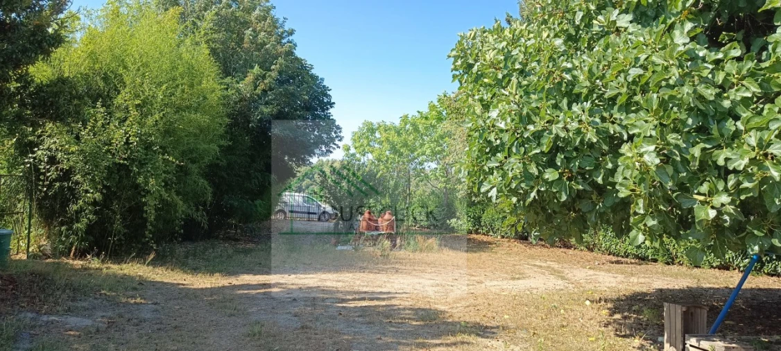 Quinta T4 para Venda em Caria Foto 33