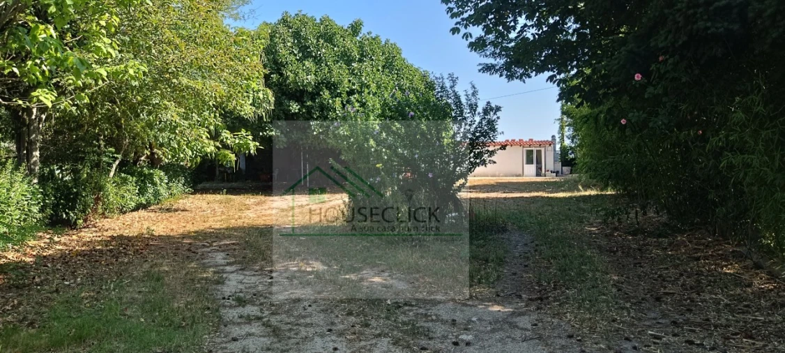 Quinta T4 para Venda em Caria Foto 49